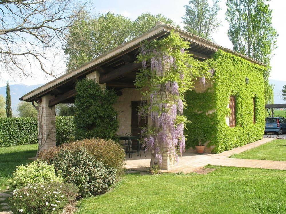 Agriturismo Le Due Torri Torre Quadrano 스펠로 외부 사진